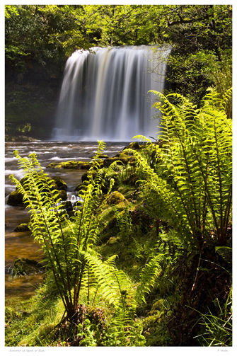 Summer at Sgwd Yr Eira.
