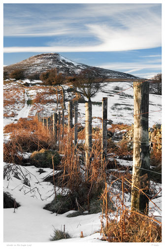Winter, The Sugar Loaf.