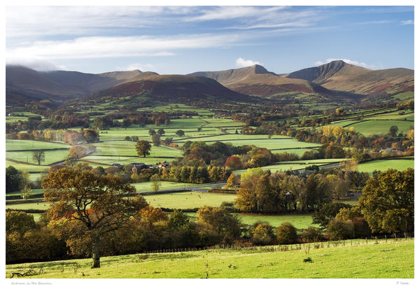 Autumn in the Beacons.
