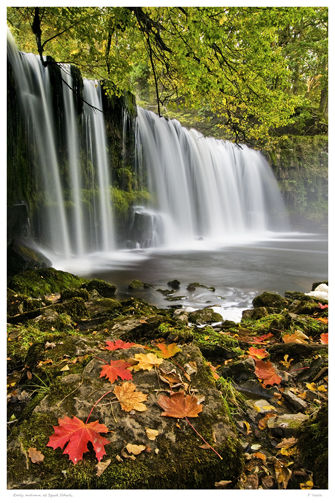 Early autumn, Sgwd Ddwli.