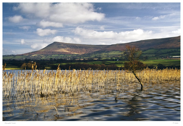 Mynydd Troed from Llangorse Lake.