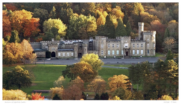 Autumn, Cyfarthfa Castle.