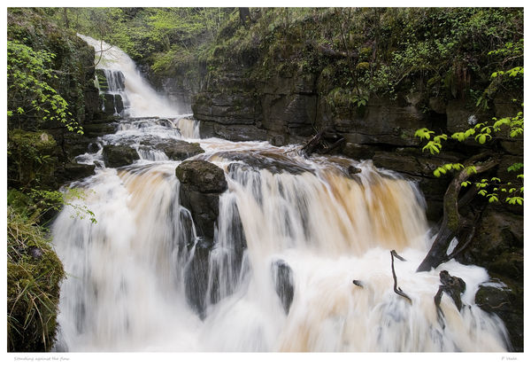 Standing against the flow.