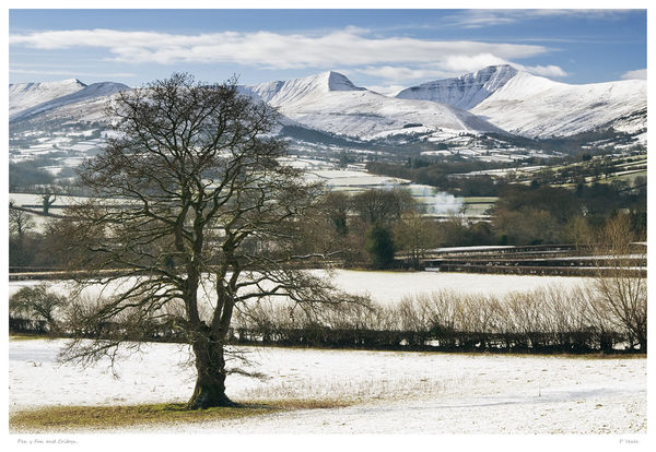 Pen y Fan and Cribyn.