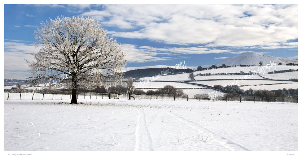It's only a winter's trail.