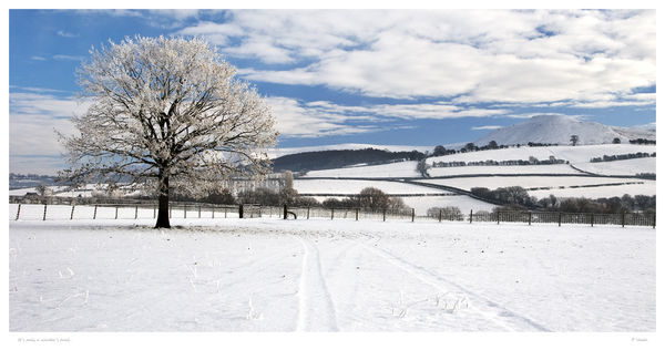 It's only a winter's trail.