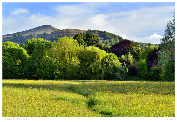 Sugar Loaf from Castle Meadows.
