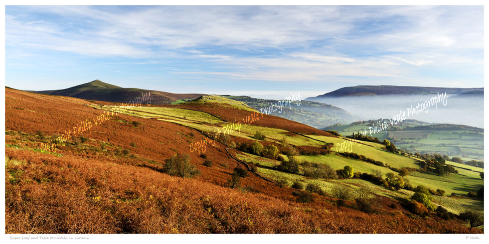 Sugar Loaf and Table Mountain in autumn.