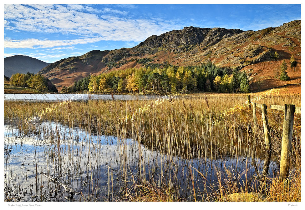 Blake Rigg from Blea Tarn.