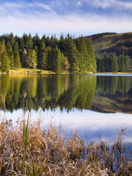 Pontsticill Reflection.