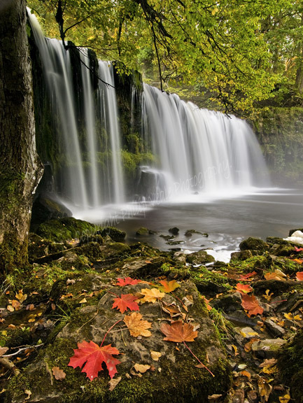 Autumn, Sgwd Ddwli.