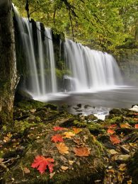Autumn, Sgwd Ddwli.