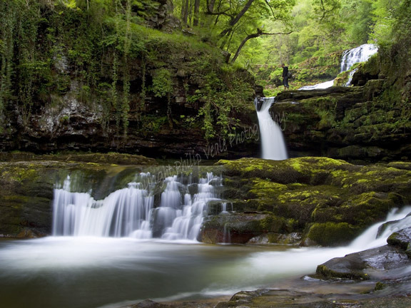 Sgwd Isaf Clun-gwyn in Spring.