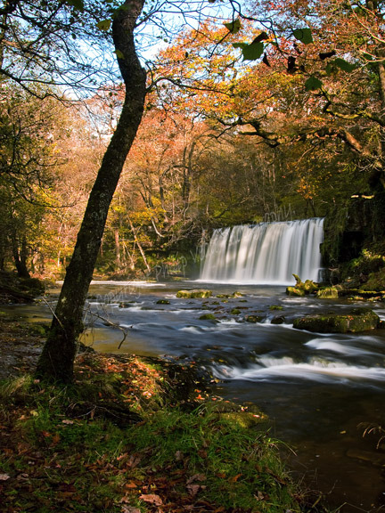 Autumn, Scwd Ddwli.
