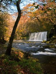 Autumn, Scwd Ddwli.