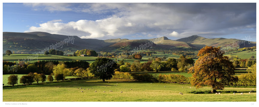 Shades of Autumn in the Beacons.