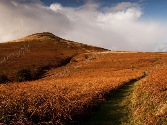 Towards the summit of the Sugar Loaf.