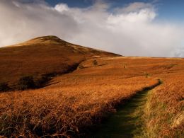 Towards the summit of the Sugar Loaf.