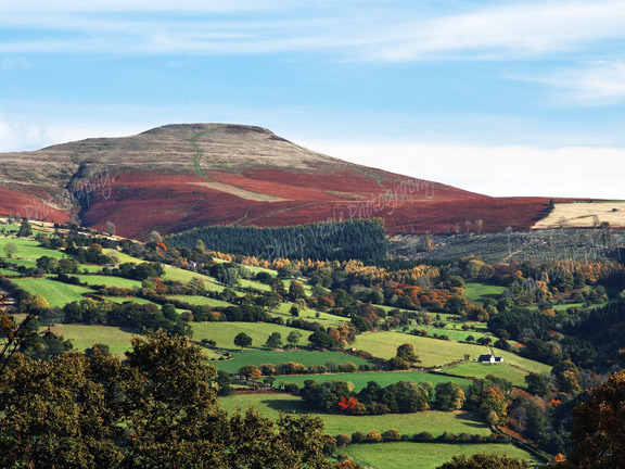 Autumn, The Sugar Loaf.