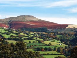 Autumn, The Sugar Loaf.