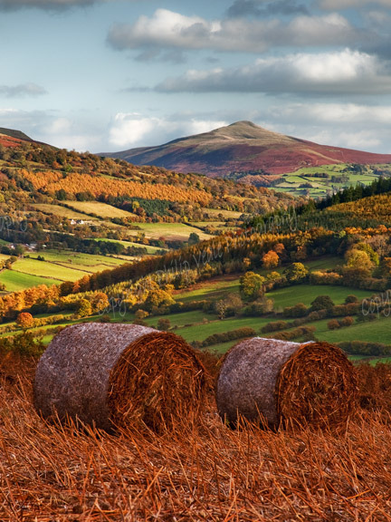 Autumn, The Sugar Loaf Mountain.