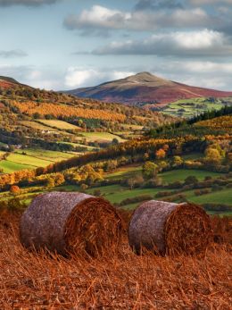 Autumn, The Sugar Loaf Mountain.