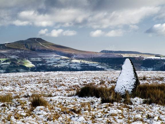 Sugar Loaf Mountain from the Moors.