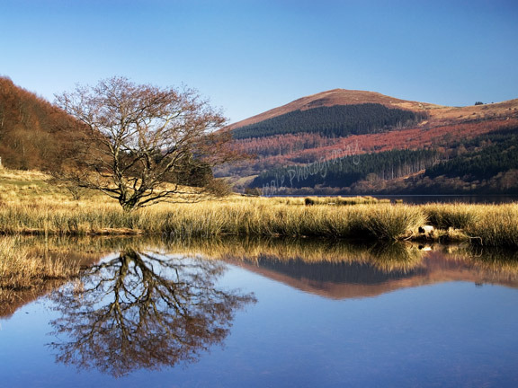 Tor y Foel Reflection.