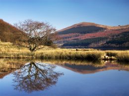 Tor y Foel Reflection.