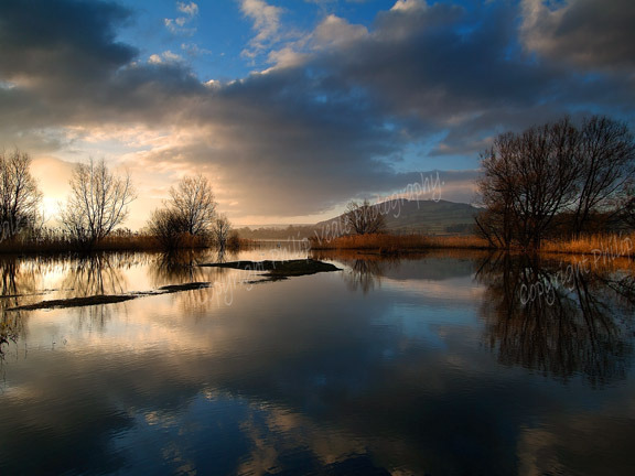 Tranquil Dawn.Llangorse Lake.