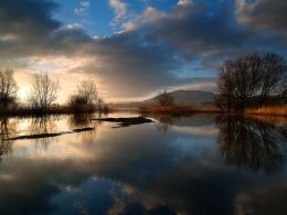 Tranquil Dawn.Llangorse Lake.