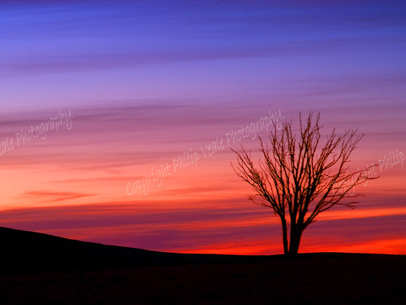 Sunset, Llangynidr Moors.