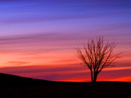Sunset, Llangynidr Moors.