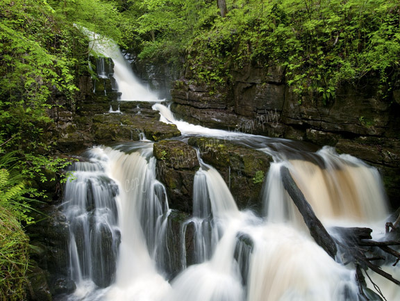 Spring on the Afon Hepste.