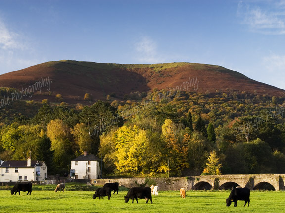 The Blorenge, Abergavenny.