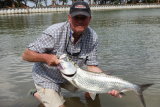Guanaja tarpon 2016
