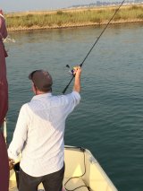 High-sticking for Bass