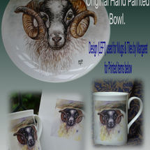 Blackface Ram