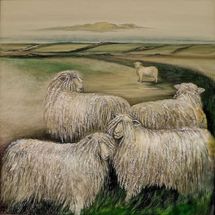 Oil Painting of Longwool Sheep N.F.S.