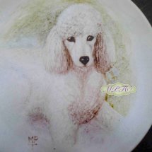 Hand Painted Dogs onto Fine Bone China Plates