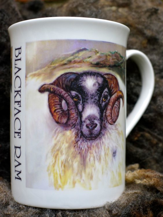Printed Mugs & £7.99