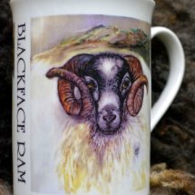 Printed Mugs & £7.99