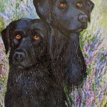 Example of Past Commission. Oil on Canvas