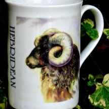 Printed Mug of a Hebridean Ram