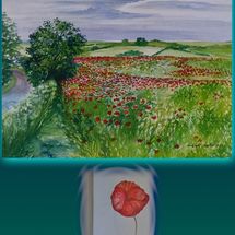 The Poppy Field