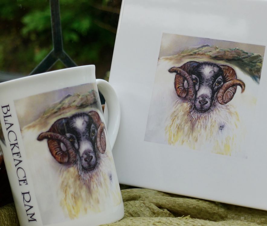 Limited Edition Blackface Printed Sheep Tiles £14.99 Each.