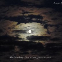 Photo taken 3am 21st June 2016. Inspiration for next Oil Painting.