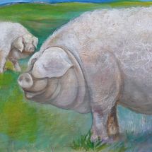 Now extinct "Lincolnshire Curly Coat" Painted with artistic license & imagination.