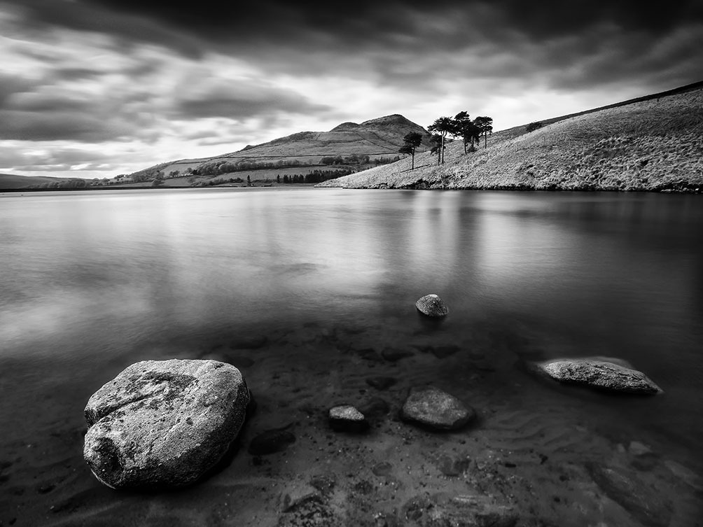 The Trees-Dovestone