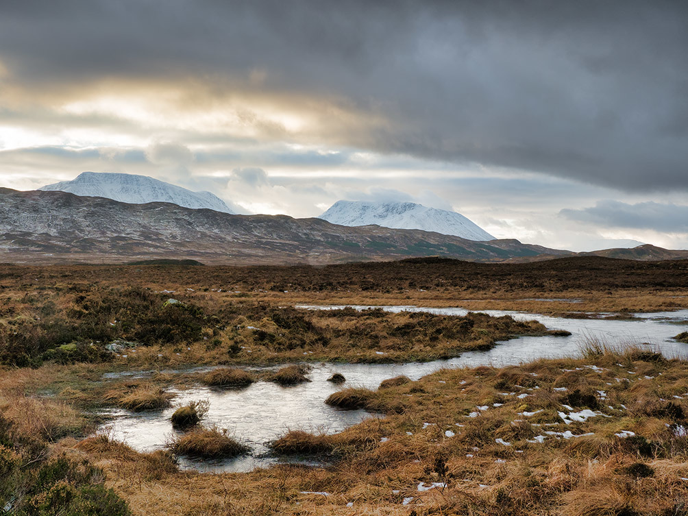 Rannoch Moor Winter Grass V